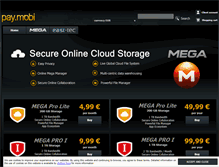 Tablet Screenshot of pay.mobi
